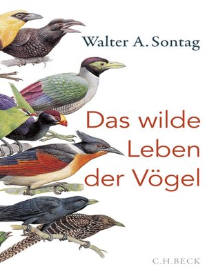 cover image of Das wilde Leben der Vögel